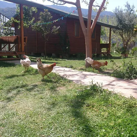 Pensionat Sera Çıralı