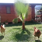 Casa de hóspedes Sera