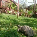 Sera Casa de hóspedes Çıralı