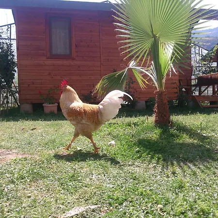 Sera Casa de hóspedes *