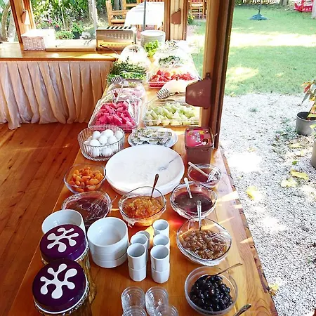 Sera Çıralı