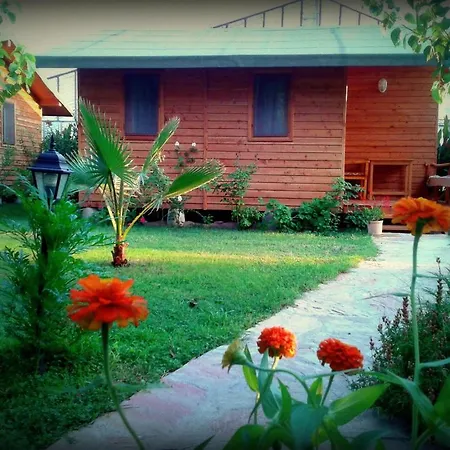 Sera Casa de hóspedes Çıralı