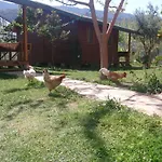 招待所 色拉畔斯永旅馆 Çıralı